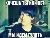 хочешь ты или нет мы идем гулять