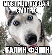 мое лицо, когда я смотрю . галин фэшн