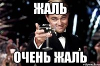 жаль очень жаль