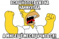 вся школота уже на каникулах, а мне ещё месяц учиться!