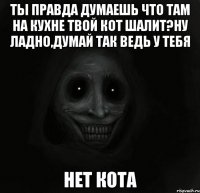 ты правда думаешь что там на кухне твой кот шалит?ну ладно,думай так ведь у тебя нет кота