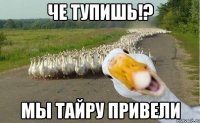 че тупишь!? мы тайру привели