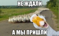 не ждали а мы пришли