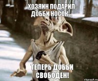 теперь Добби свободен!  Хозяин подарил Добби носок...