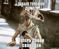 Теперь Добби свободен  Забыл телефон дома...