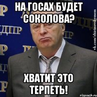 на госах будет соколова? хватит это терпеть!