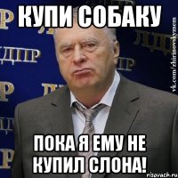 купи собаку пока я ему не купил слона!