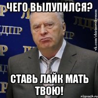 чего вылупился? ставь лайк мать твою!