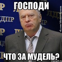 господи что за мудель?