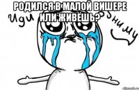 родился в малой вишере или живёшь? 