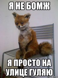 я не бомж я просто на улице гуляю