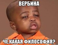 вербина че.какая философия?