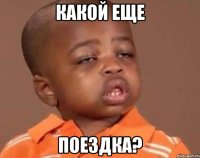 какой еще поездка?