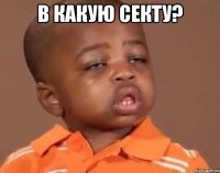 в какую секту? 