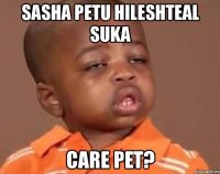 sasha petu hileshteal suka care pet?