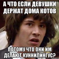 а что если девушки держат дома котов потому что они им делают куннилингус?