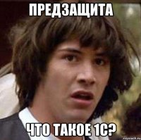 предзащита что такое 1с?