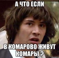 а что если в комарово живут комары ?