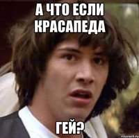 а что если красапеда гей?