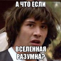 а что если вселенная разумна?