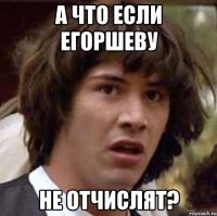 а что если егоршеву не отчислят?