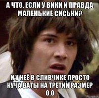 а что, если у вики и правда маленькие сиськи? и у неё в сливчике просто куча ваты на третий размер о.о