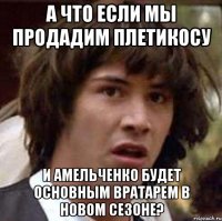 а что если мы продадим плетикосу и амельченко будет основным вратарем в новом сезоне?