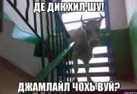 де дик хил шу! джамлайл чохь вуй?