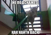 не подскажете как найти васю