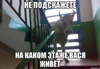 не подскажете на каком этаже вася живёт