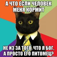 а что если человек меня кормит не из за того, что я бог, а просто его питомец?