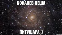 боканев леша питушара :)