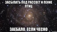 засыпать под рассвет и пение птиц заебало, если чесно