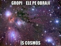 gropițele pe obraji îs cosmos