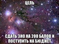 цель сдать зно на 200 балов и поступить на бюджет