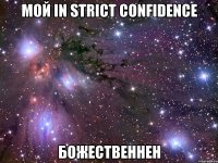 мой in strict confidence божественнен