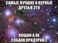 самые лучшие и верные друзья это кошки а не собаки,придурки))