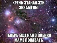 хрень этакая эти экзамены теперь еще надо оценки маме показать