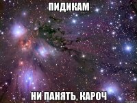 пидикам ни панять, кароч