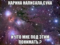 карина написала сука и что мне под этим понимать ?