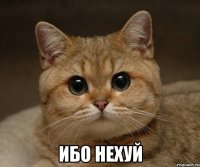  ибо нехуй