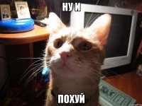 ну и похуй