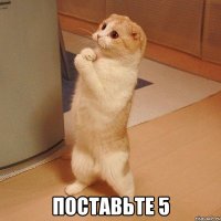  поставьте 5