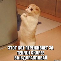  этот кот переживает за тебя))) скорее выздоравливай