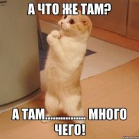 а что же там? а там................ много чего!