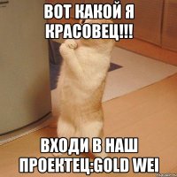 вот какой я красовец!!! входи в наш проектец:gold wei