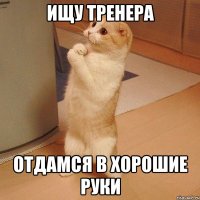 ищу тренера отдамся в хорошие руки