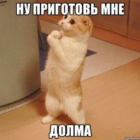 ну приготовь мне долма