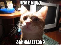 чем вы тут занимаетесь?