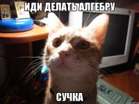 иди делать алгебру сучка